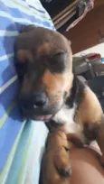 Frida e Capitu