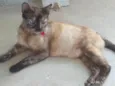 Xena