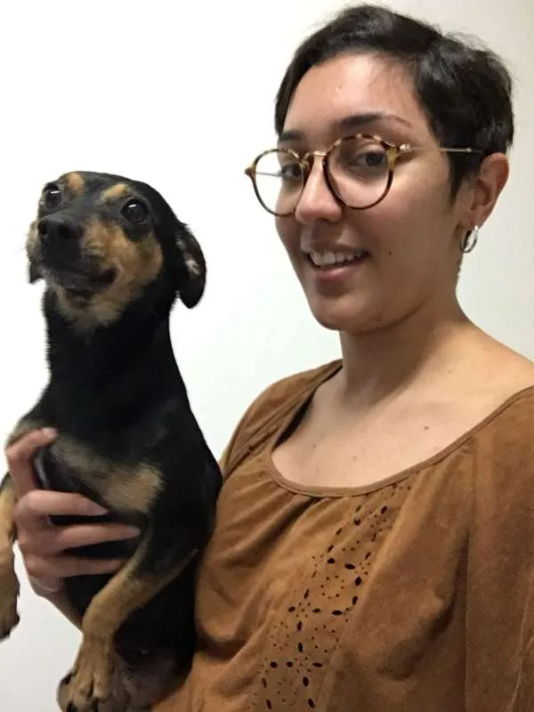 Cachorro ra a Pinscher idade 3 anos nome Abigail