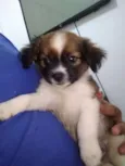 Bethoveem