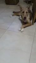 Lola