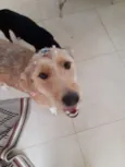 Lola