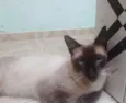 APOLO