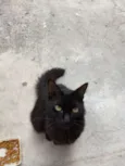 Pretumy