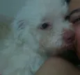 Simbione