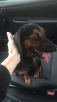 Lupita