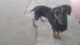 Lupita