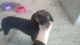 Lupita