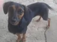 Lupita