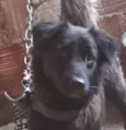 Nina
