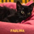 PAULINA