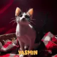 YASMIN