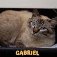 GABRIEL