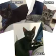 Nomes na foto