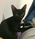 Nomes na foto