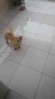 Zoe