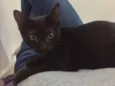 Lorenzo