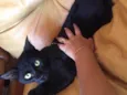 Mimi
