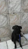 Princesa