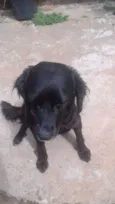 Lili 