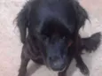 Lili 