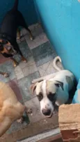 Zeus