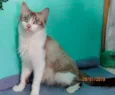 Doly