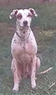 Marlei e Linda