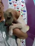 Não tem nome ainda