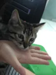Léo