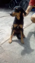 Romeu