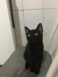 Nao tem 