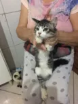 Nao tem 