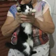 Nao tem 