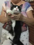 Nao tem 
