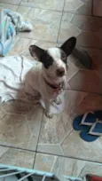 Minie