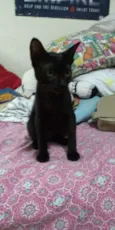 Lilith