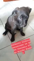 Não sei