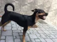 Atena e Captu