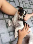 Atena e Captu