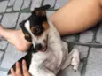 Atena e Captu