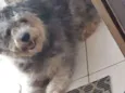 Bolinha