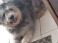 Bolinha