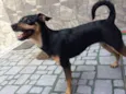 Atena e Captu
