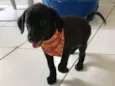 Bernardo