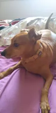 Mia