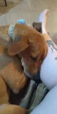Mia