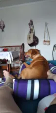 Mia