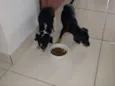 Fred e Frida