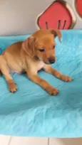 Fernando